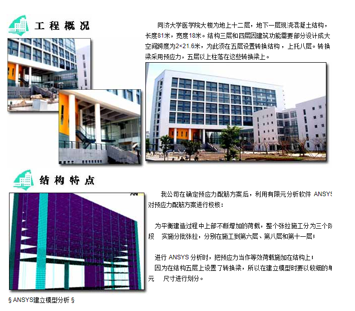 同济大学医学院 2.PNG